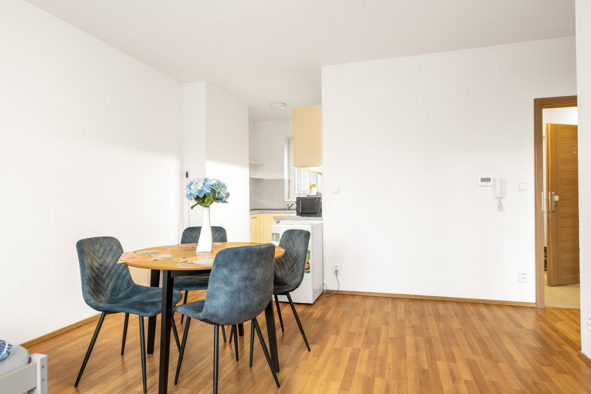 Apartmány Borská Plzeň Esterno foto
